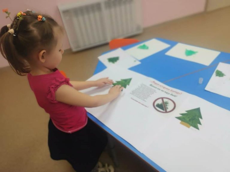 Подробнее о статье Проект «Берегите ёлочку»