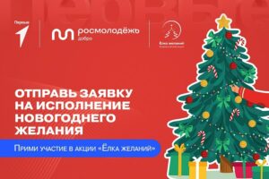 Подробнее о статье В преддверии празднования Нового года